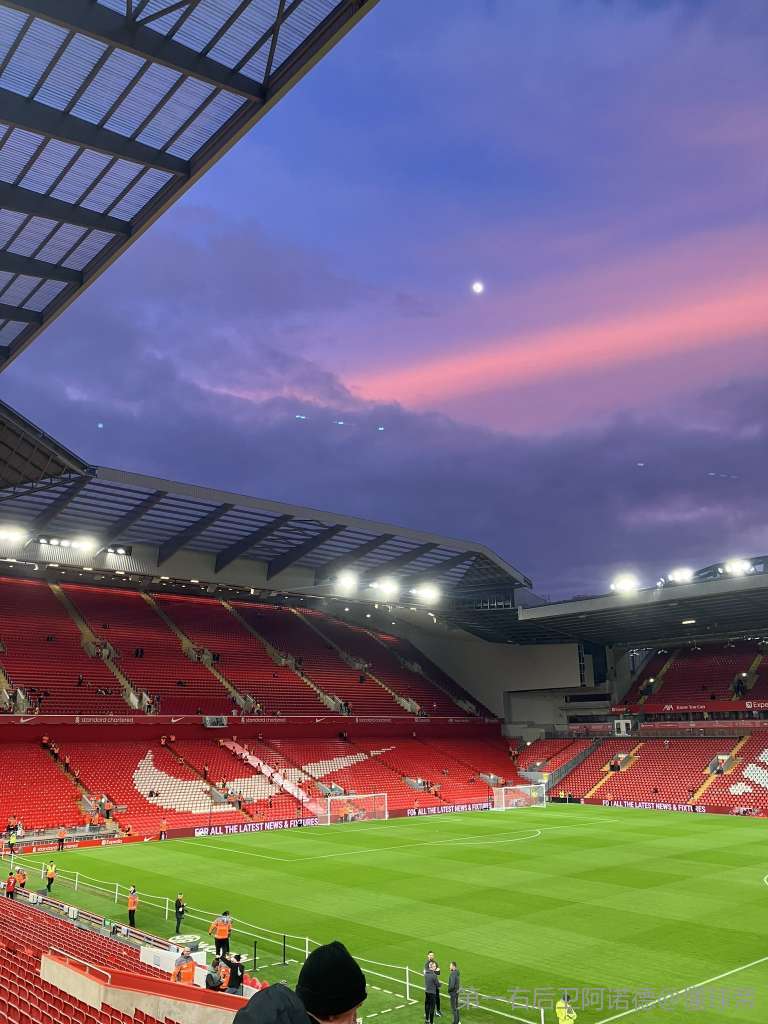 布伦南·约翰逊转会背后：热刺迅速止损的决定